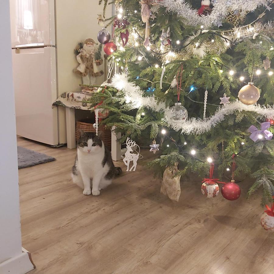 Nadmorskie Apartamenty Ustka Kültér fotó